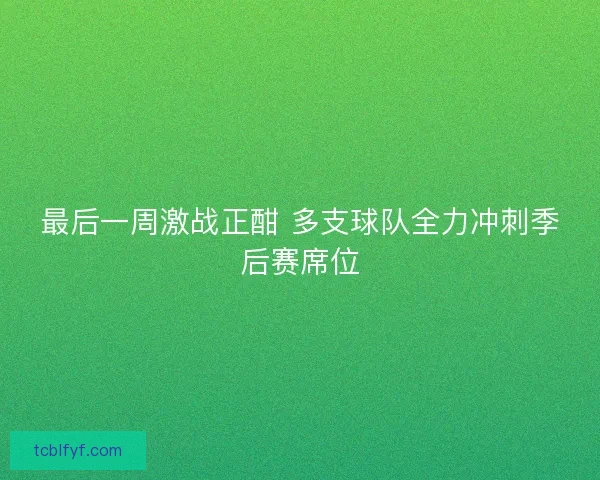 最后一周激战正酣 多支球队全力冲刺季后赛席位