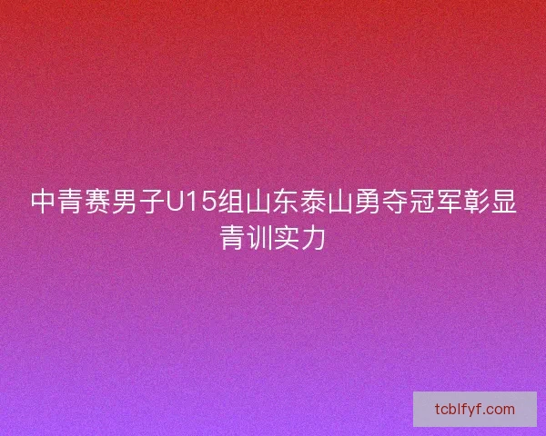 中青赛男子U15组山东泰山勇夺冠军彰显青训实力 中青赛男子U15组山东泰山勇夺冠军彰显青训实力