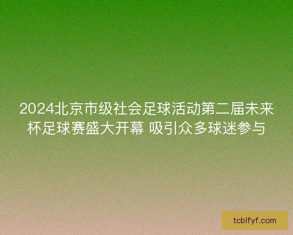 2024北京市级社会足球活动第二届未来杯足球赛盛大开幕 吸引众多球迷参与 2024北京市级社会足球活动第二届未来杯足球赛盛大开幕 吸引众多球迷参与