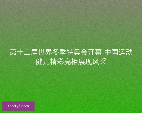 第十二届世界冬季特奥会开幕 中国运动健儿精彩亮相展现风采 第十二届世界冬季特奥会开幕 中国运动健儿精彩亮相展现风采